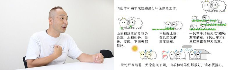 為了加深大家對“山羊和綿羊除草”的理解，制作Ｔ恤衫和看板。